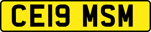 CE19MSM