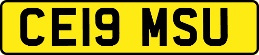 CE19MSU
