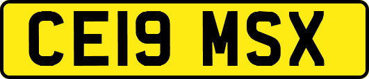 CE19MSX