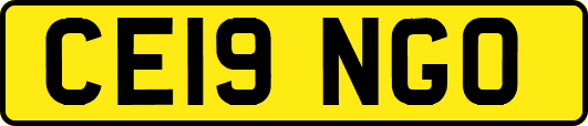 CE19NGO