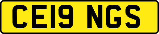 CE19NGS