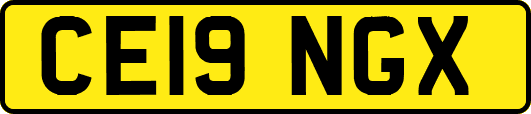 CE19NGX