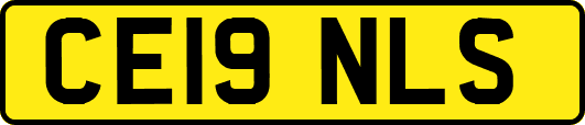 CE19NLS
