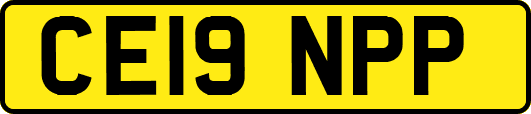 CE19NPP