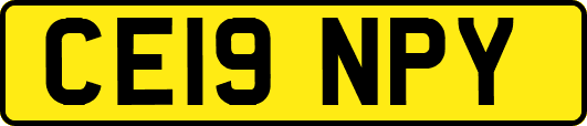 CE19NPY