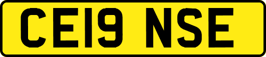 CE19NSE