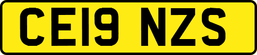 CE19NZS