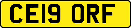 CE19ORF