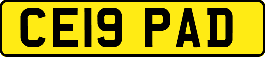 CE19PAD