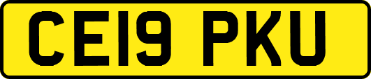 CE19PKU