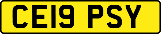 CE19PSY