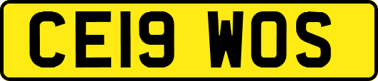 CE19WOS
