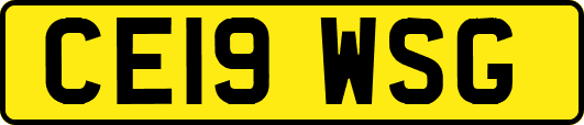 CE19WSG