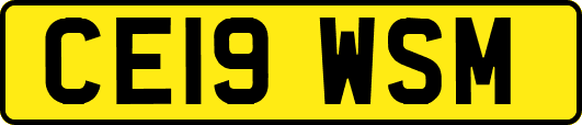 CE19WSM