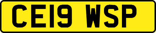 CE19WSP