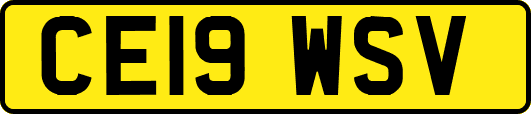 CE19WSV