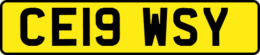 CE19WSY
