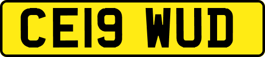 CE19WUD