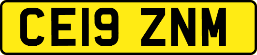 CE19ZNM