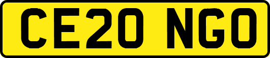 CE20NGO