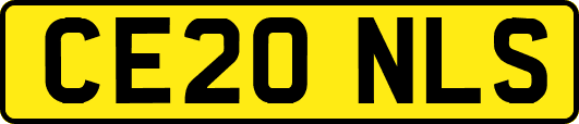 CE20NLS
