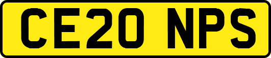 CE20NPS