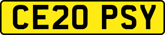 CE20PSY