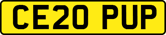 CE20PUP