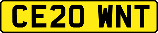 CE20WNT