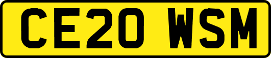 CE20WSM