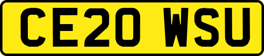 CE20WSU
