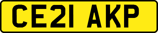 CE21AKP