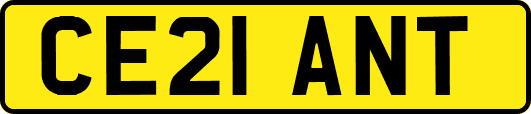 CE21ANT