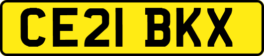CE21BKX