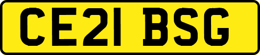 CE21BSG