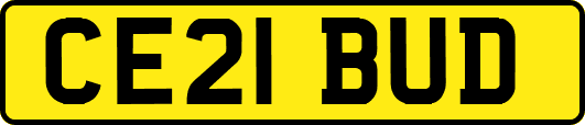 CE21BUD