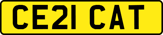 CE21CAT