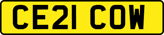CE21COW