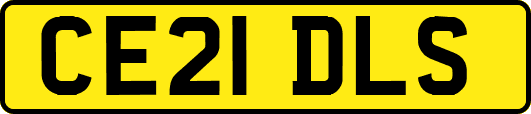 CE21DLS