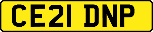 CE21DNP