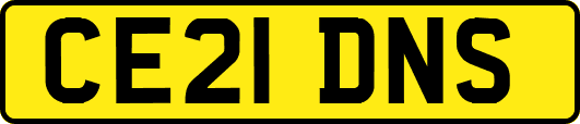 CE21DNS