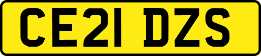 CE21DZS