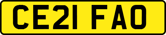 CE21FAO