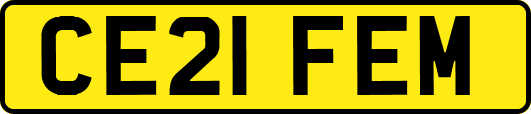 CE21FEM