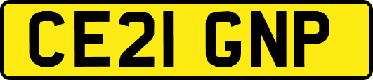 CE21GNP