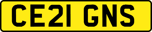 CE21GNS