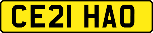 CE21HAO