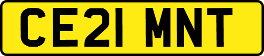 CE21MNT