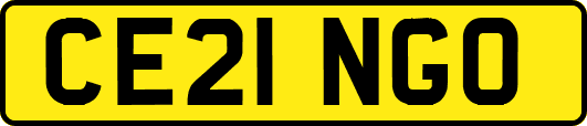 CE21NGO