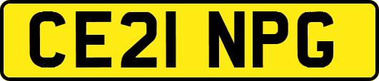 CE21NPG